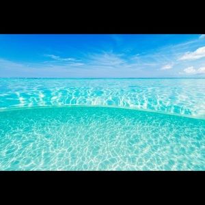 Meet your Posher, Trin